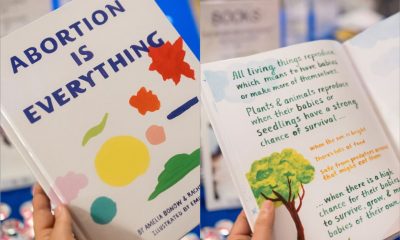 Aborto é ‘superpoder’, diz livro ilustrado para crianças de 5 anos