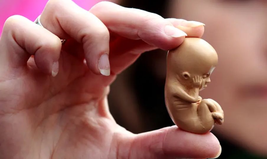 Abortos: em 2024, mais de 45 milhões de bebês foram mortos