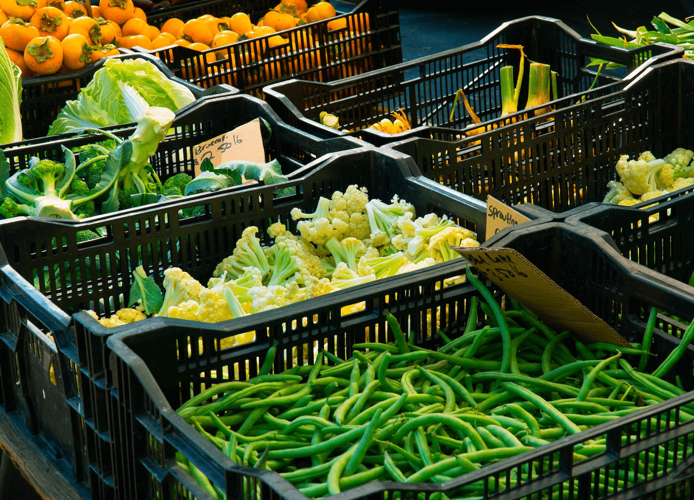 Alimentos