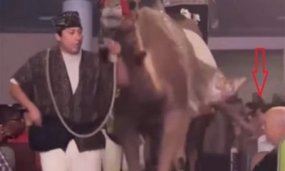 Fiel sofre coice de camelo durante espetáculo de Natal na igreja