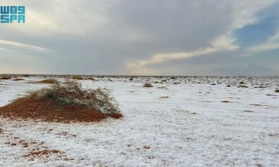 Profecia de Isaías é lembrada após cair neve no deserto da Arábia Saudita