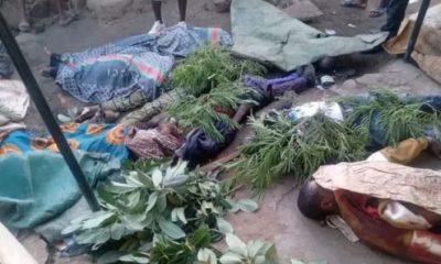 Domingo de Ramos na Nigéria: ataque ceifa dezenas de vidas