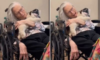 Idosa de 90 anos com demência declara: “Jesus é o Filho de Deus”