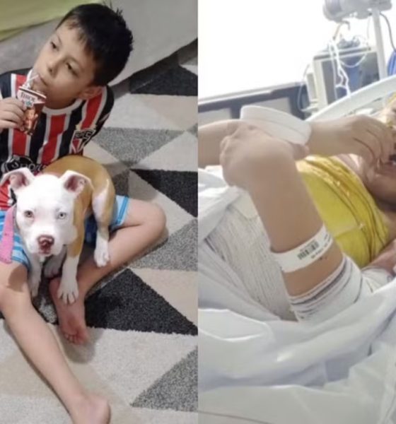 ‘Deus tem um plano na vida dele’: menino sobrevive a choque de 25 mil volts