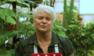 Barronelle Stutzman