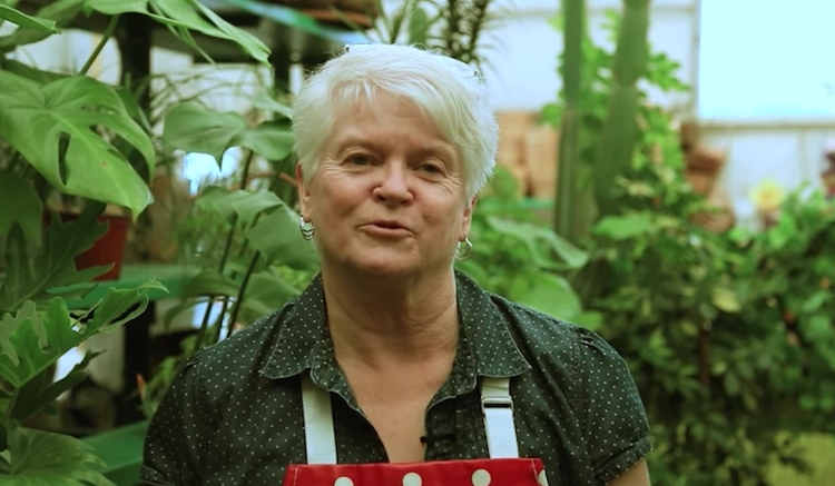 Barronelle Stutzman