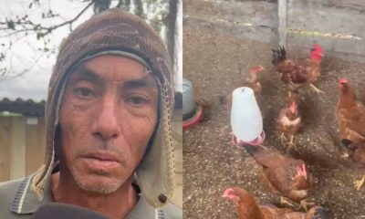 ‘Olhos de demônio’: mulher invade galinheiro aos gritos para fazer ritual
