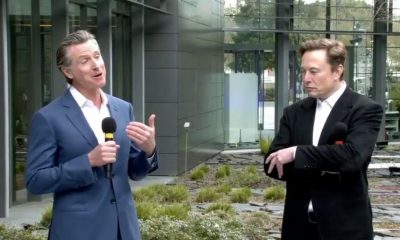 ‘Se tem útero, é mulher. Caso contrário, não’, diz Elon Musk