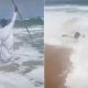 Vídeo: pastor quase morre afogado ao tentar abrir o mar