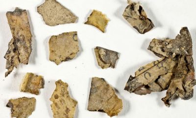 IA analisa Manuscritos do Mar Morto e indica idade mais antiga