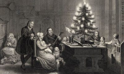 Lutero criou a árvore de Natal? Veja resposta de pesquisadores