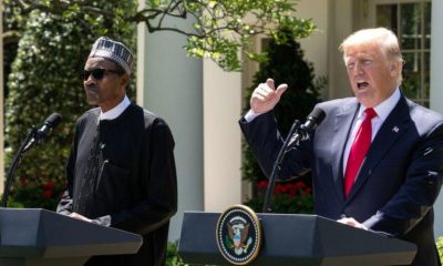 Trump estuda ação militar na Nigéria contra genocídio cristão