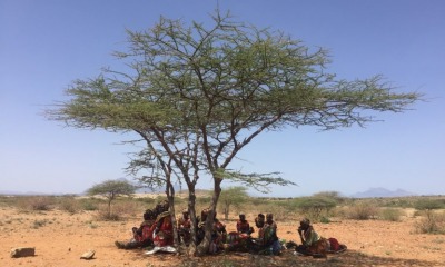 Povos Pokot